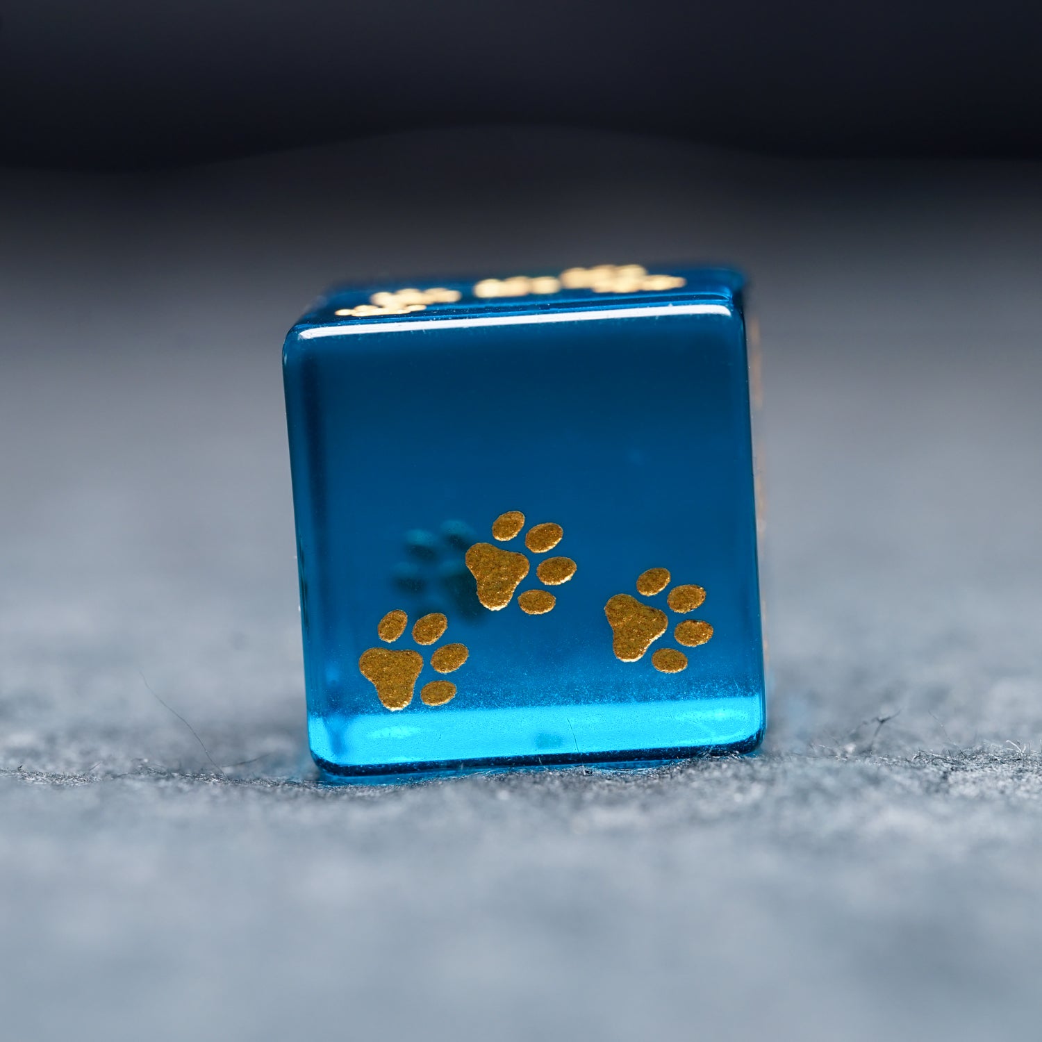 Cute Cat Pawprint D6 Dice